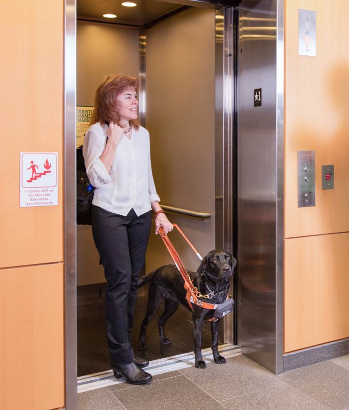 Black Lab guiding woman out of elevator