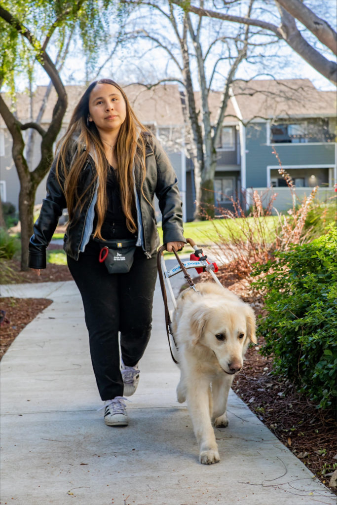 A young woman with long dark hair being guided down the sidewalk by her Lab/Golden Retriever Cross.