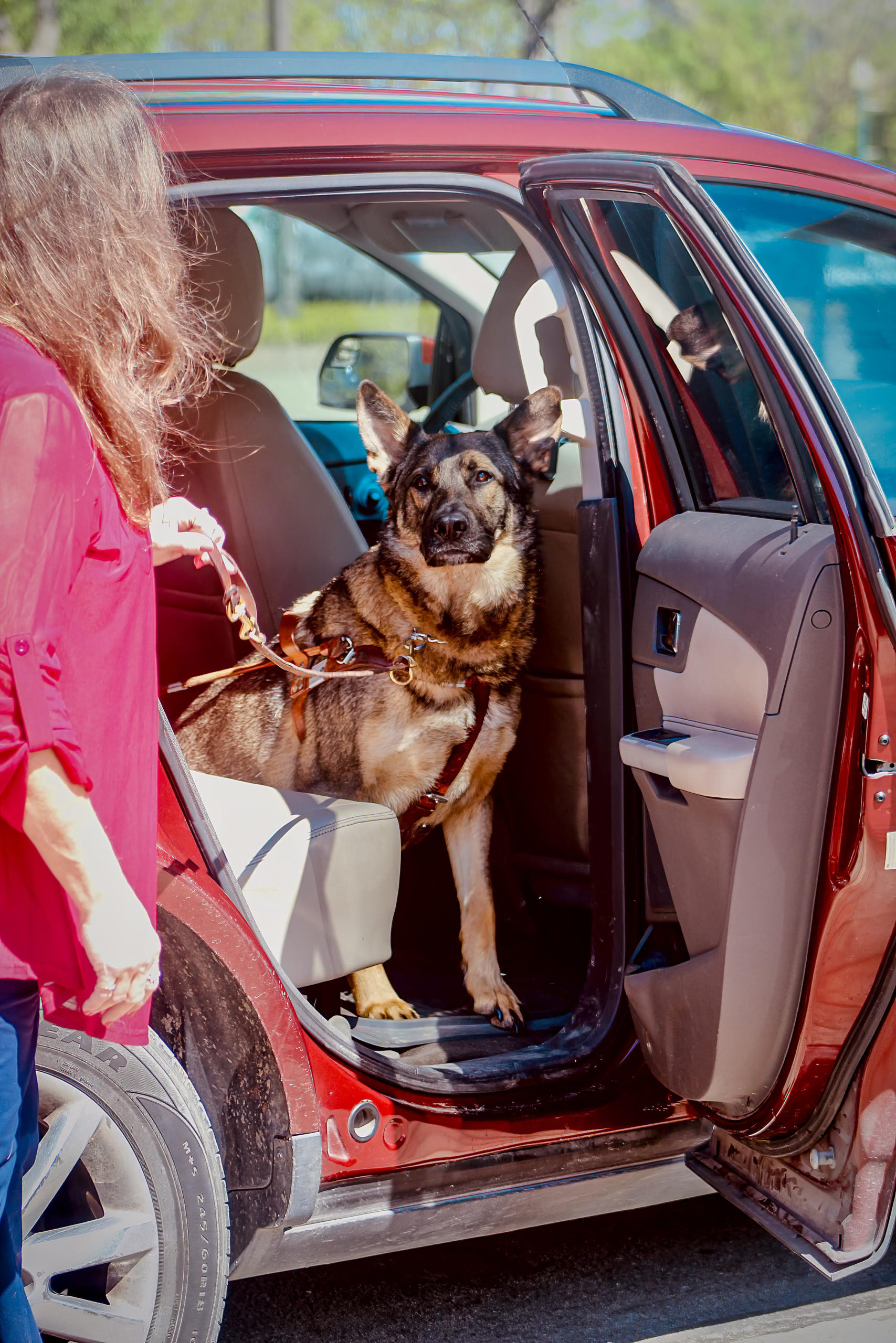 General Overview: Rideshare Discrimination against Blind Riders with ...