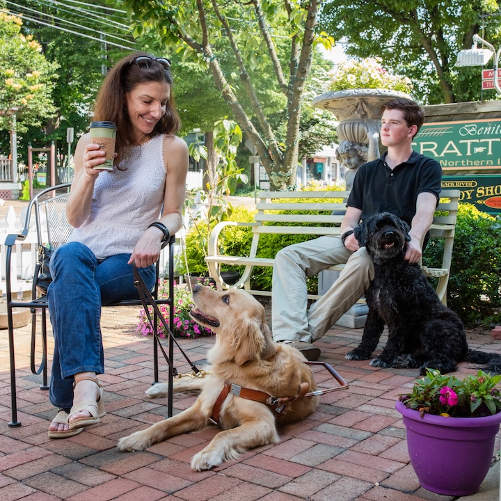 A young man with his pet dog sitting a distance behind a woman and her golden retriever guide dog at an outdoor cafe