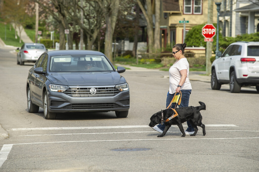 A woman with a black Lab guide dog crossing the street while a gray Volkswagen waits at the stop sign.