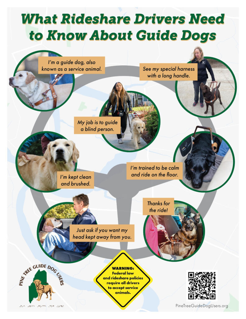 PTGDU flyer titled ‘What Rideshare Drivers Need to Know About Guide Dogs,’ with photos of guide dog teams and tips for drivers.