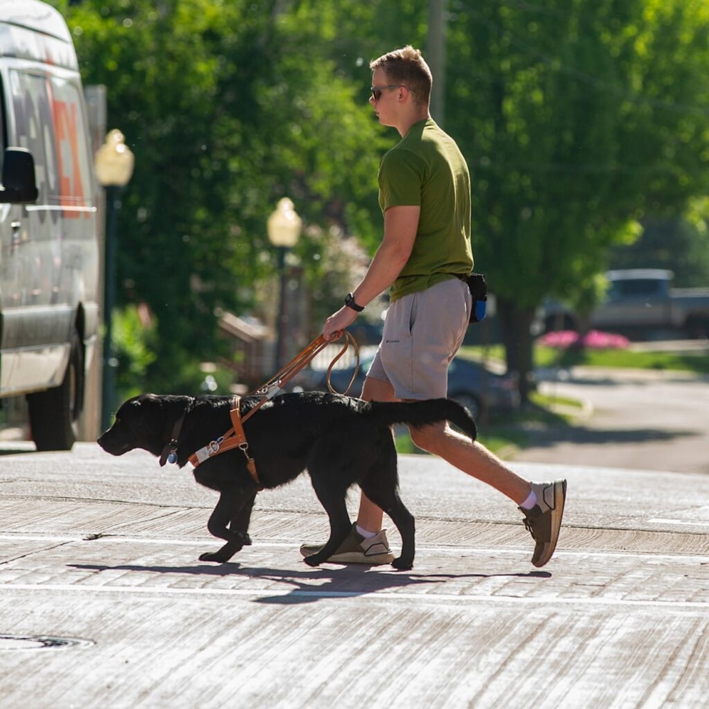 A young man wearing sunglasses crosses a street with a black Lab guide dog as a large vehicle waits nearby.
