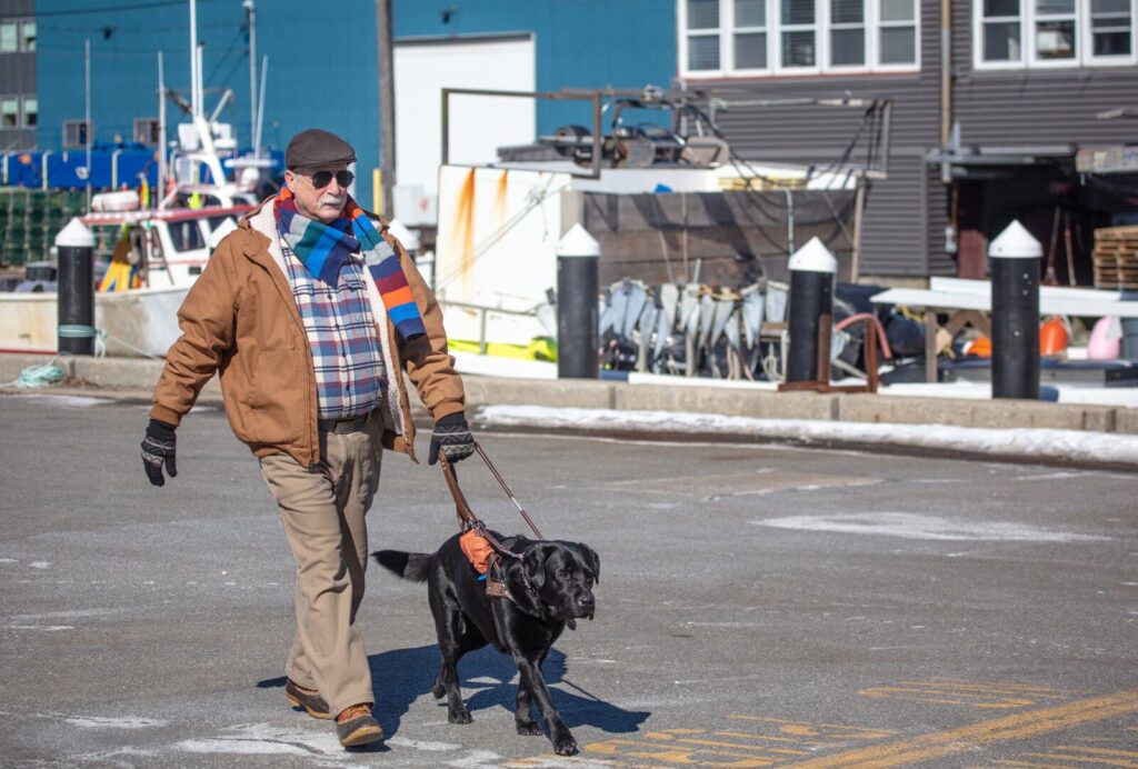 A man and his black Lab guide dog walk along the Maine waterfront on a sunny day.
